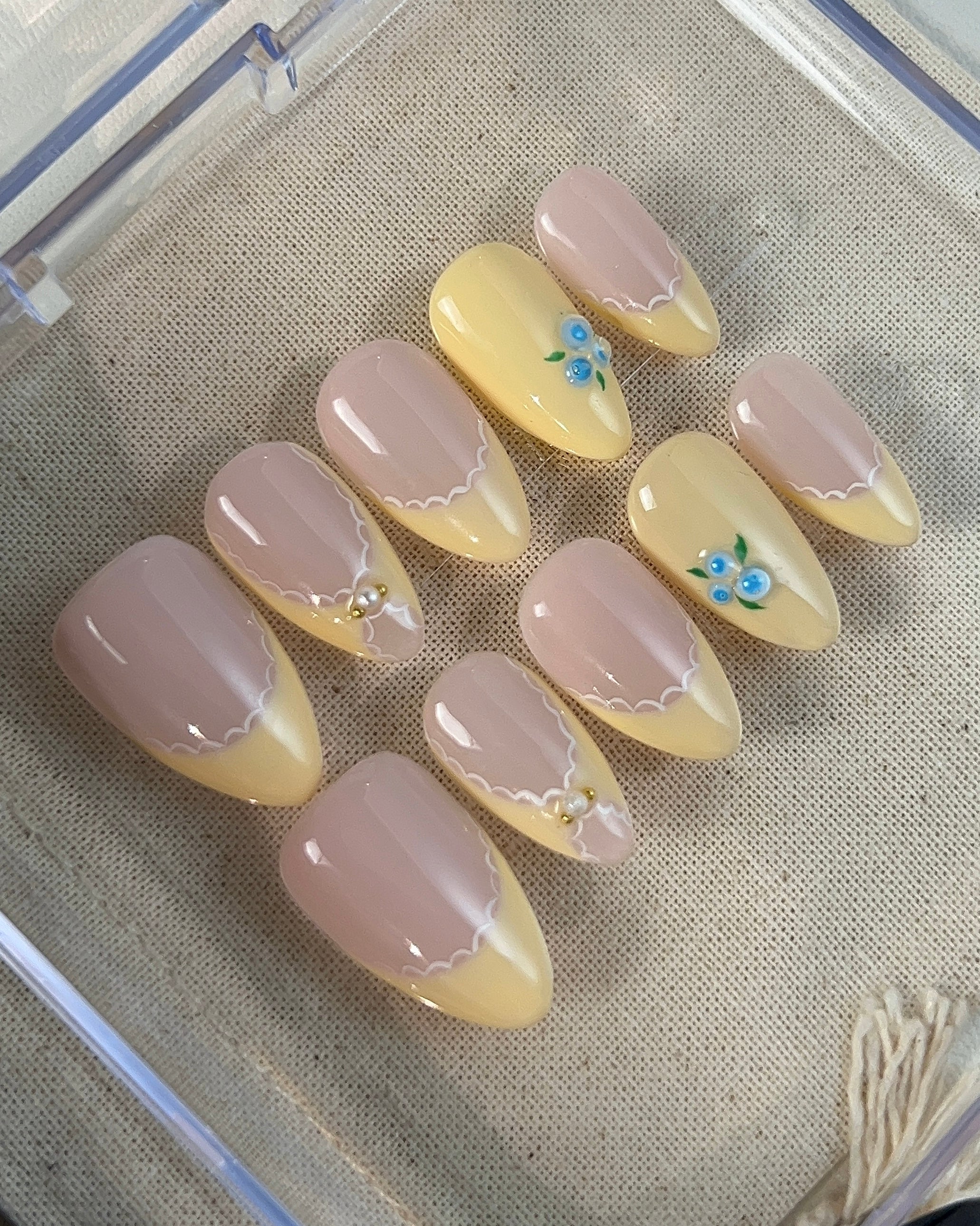 Blueberry Pie-3D press-on Nails